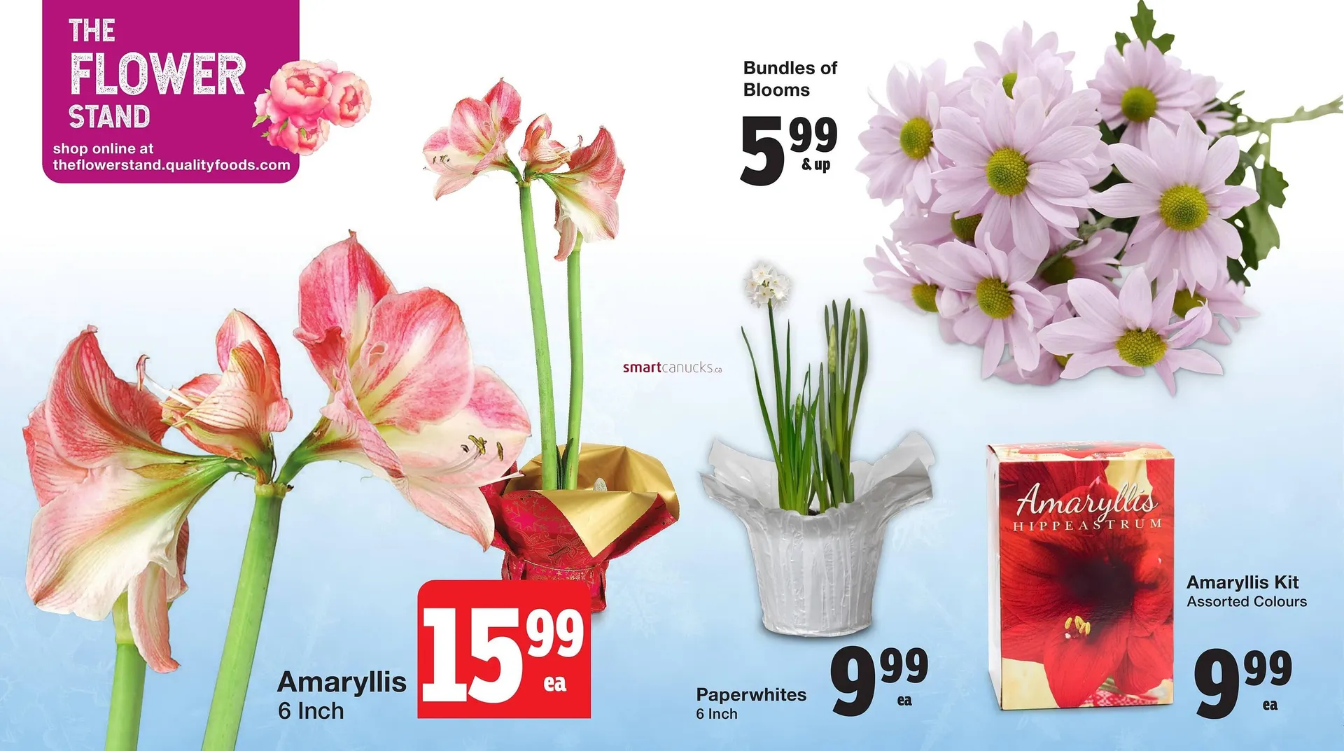 Quality Foods flyer from November 12 to December 26 2024 - flyer page 3