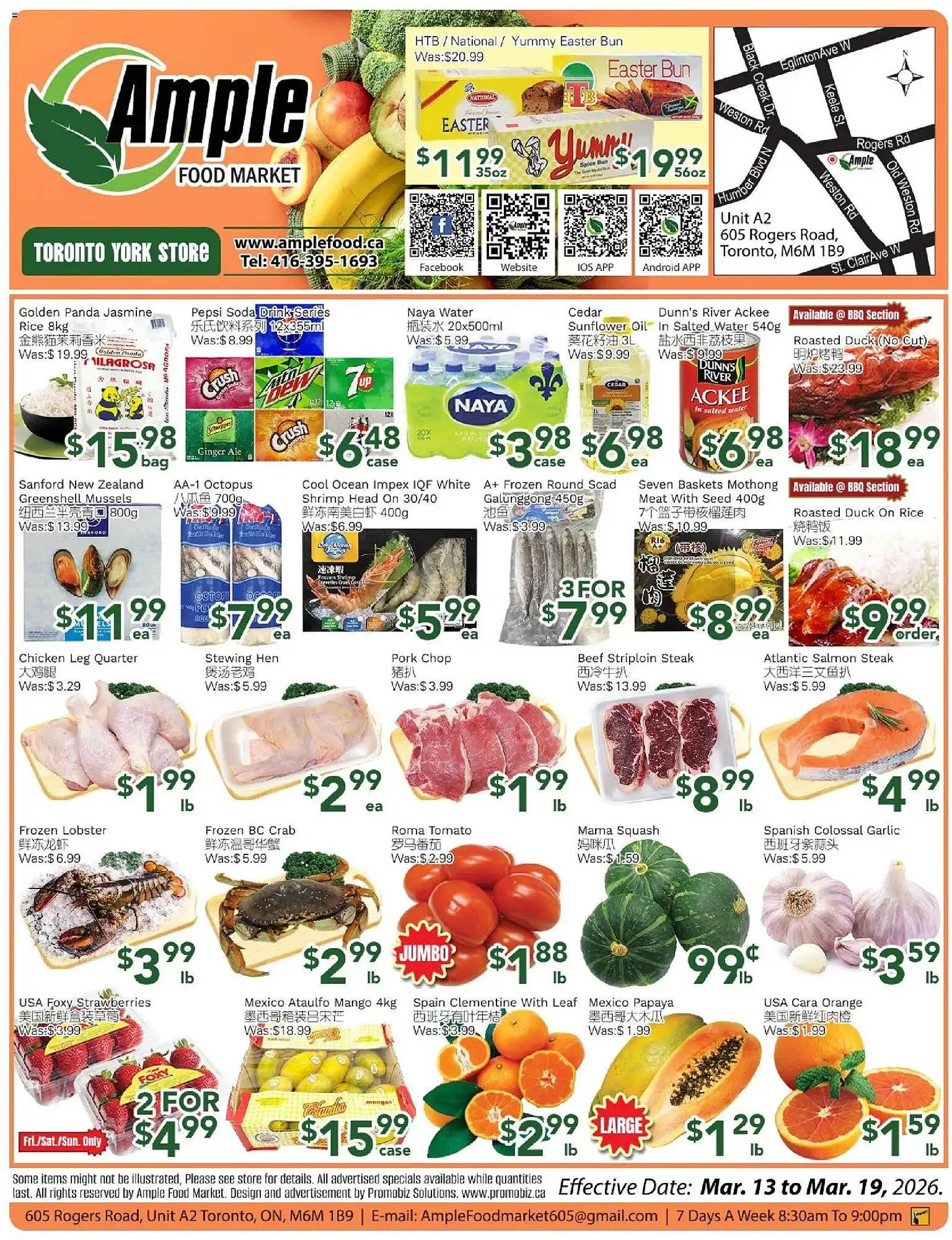 Ample Food Market flyer from March 13 to March 20 2026 - flyer page 1