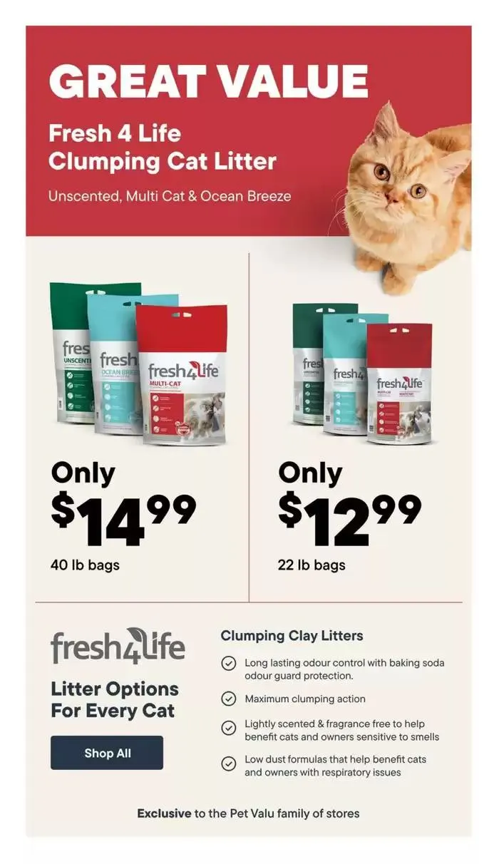 Spring into Savings from March 13 to April 2 2025 - flyer page 16