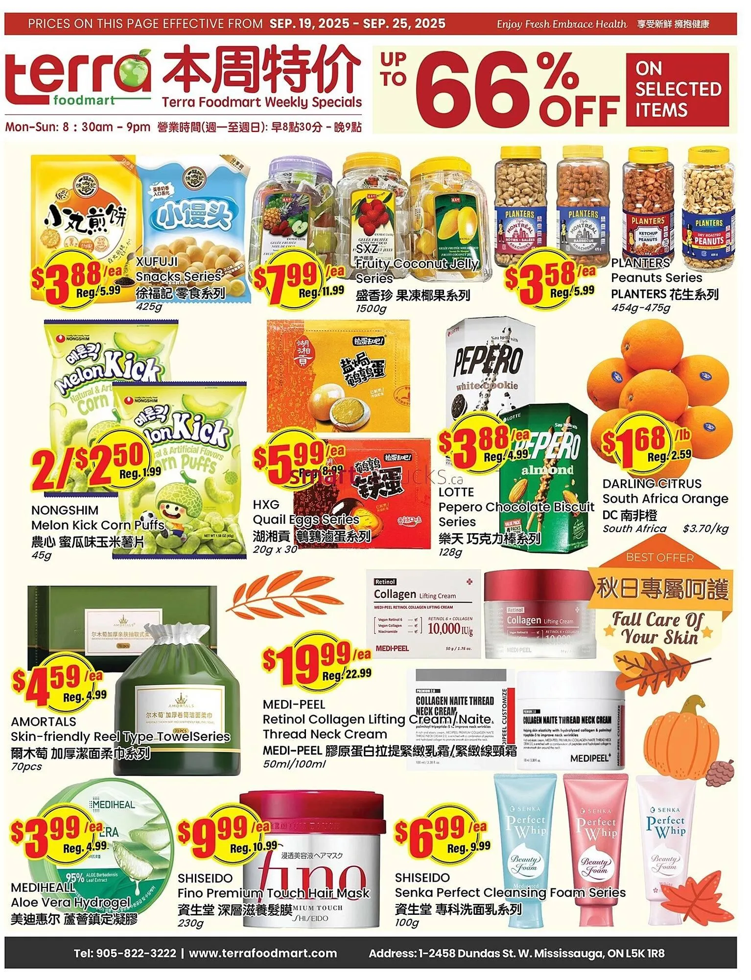 Terra Foodmart flyer from September 19 to September 25 2025 - flyer page 1