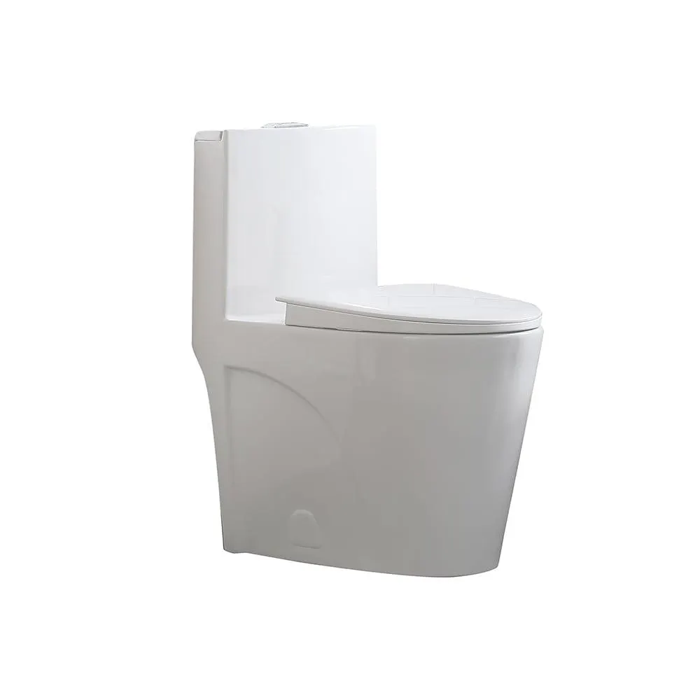 Buxton 1-Piece 4 / 6 LPF Dual Flush Elongated Toilet in White