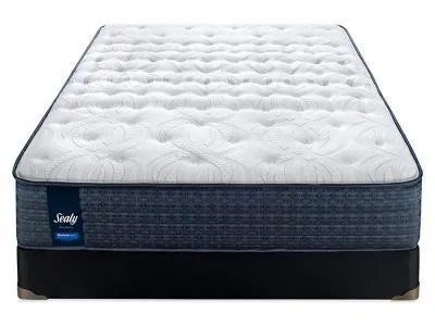 SEALY PROBACK TIGHT TOP SAFARI (QUEEN)