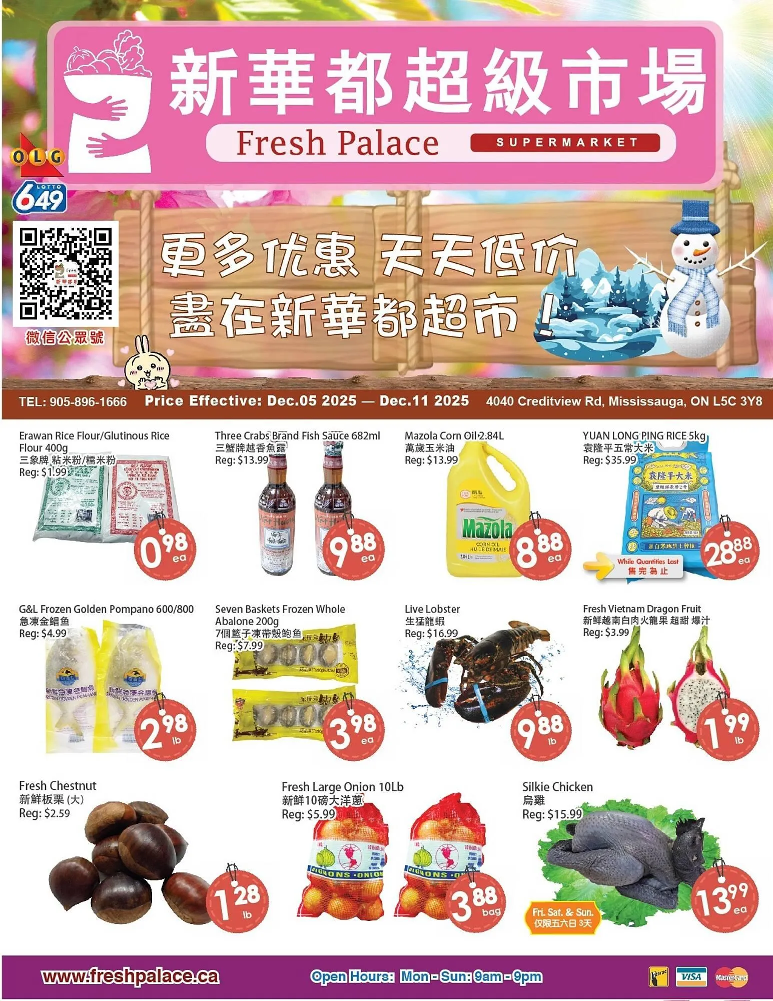 Fresh Palace Supermarket flyer from December 5 to December 11 2025 - flyer page 1