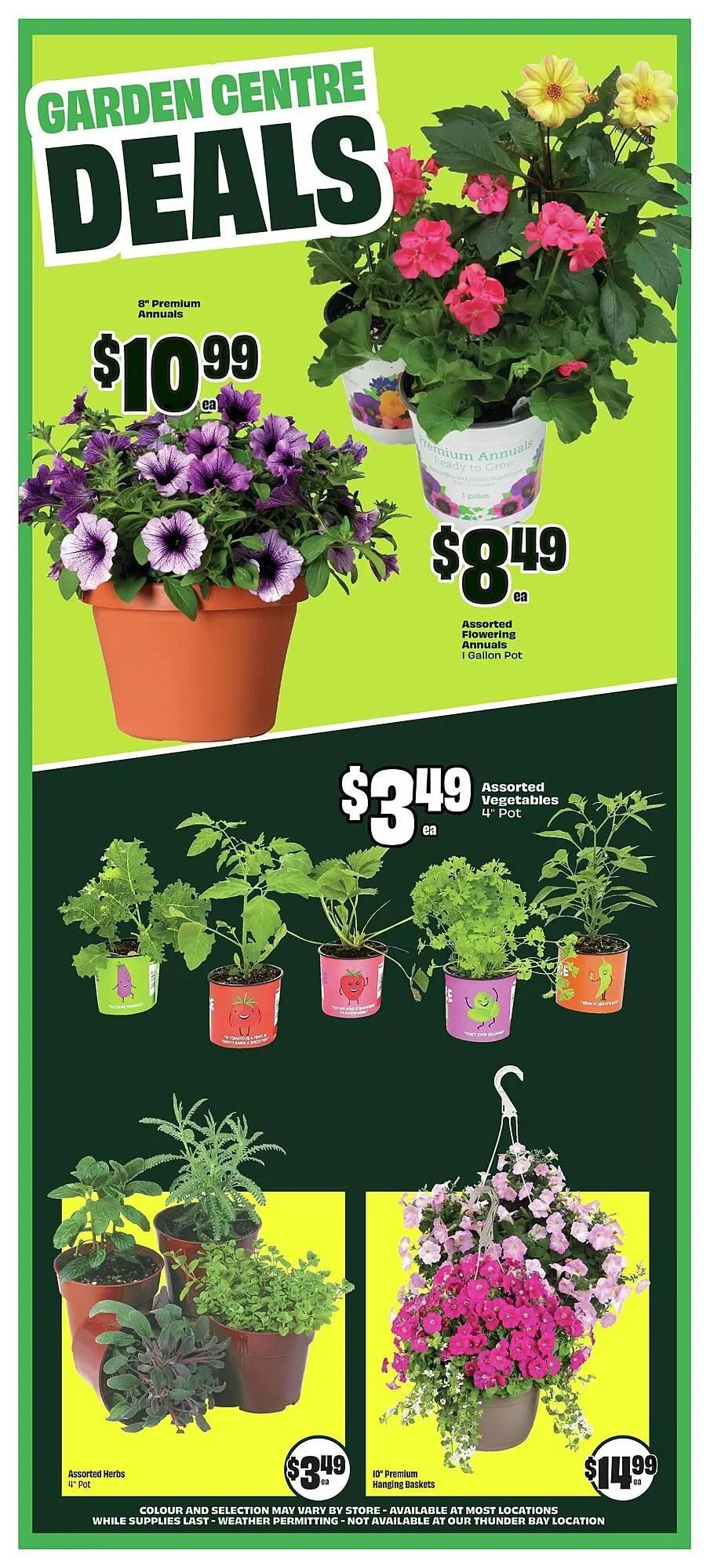 FreshCo flyer from May 22 to May 28 2025 - flyer page 6