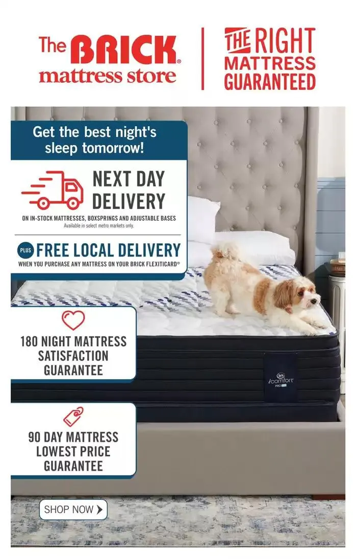 Current deals and offers from November 29 to December 1 2024 - flyer page 10