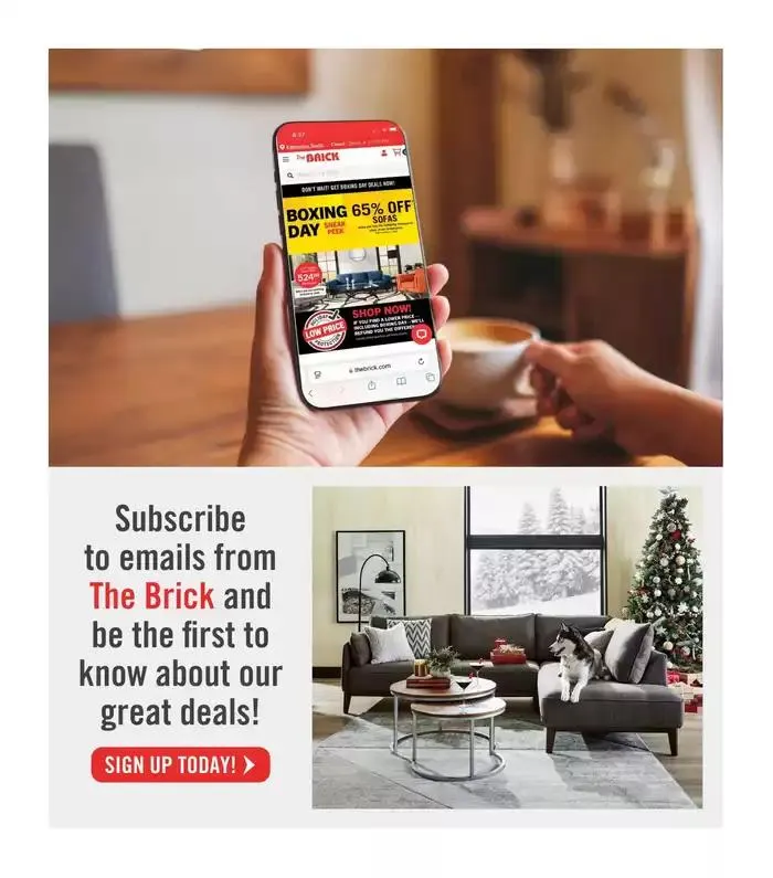 Exclusive bargains from January 14 to January 29 2025 - flyer page 19