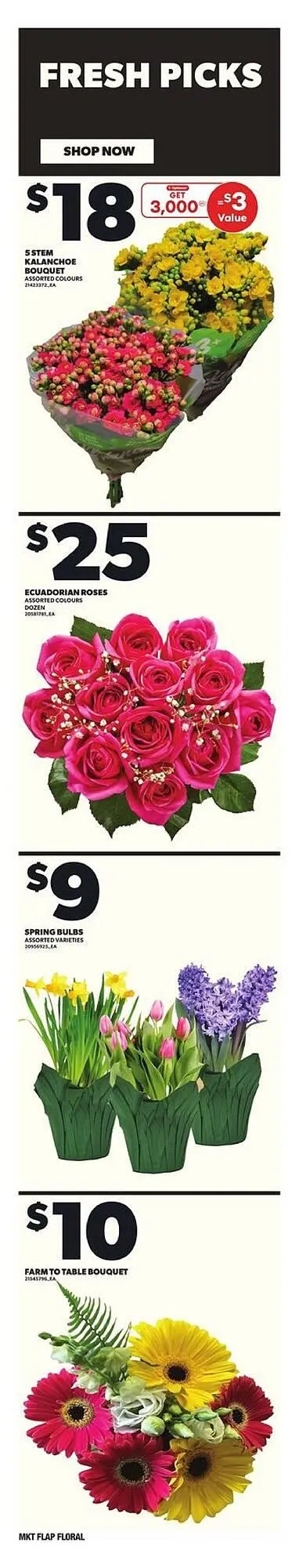 Loblaws flyer from March 27 to April 3 2025 - flyer page 10