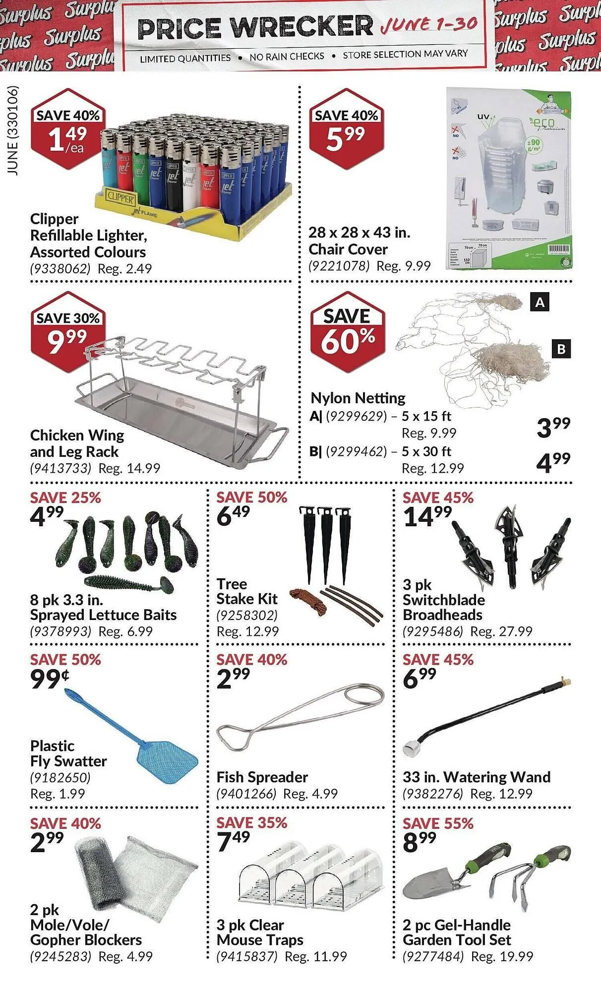 Princess Auto flyer from June 2 to June 16 2025 - flyer page 17