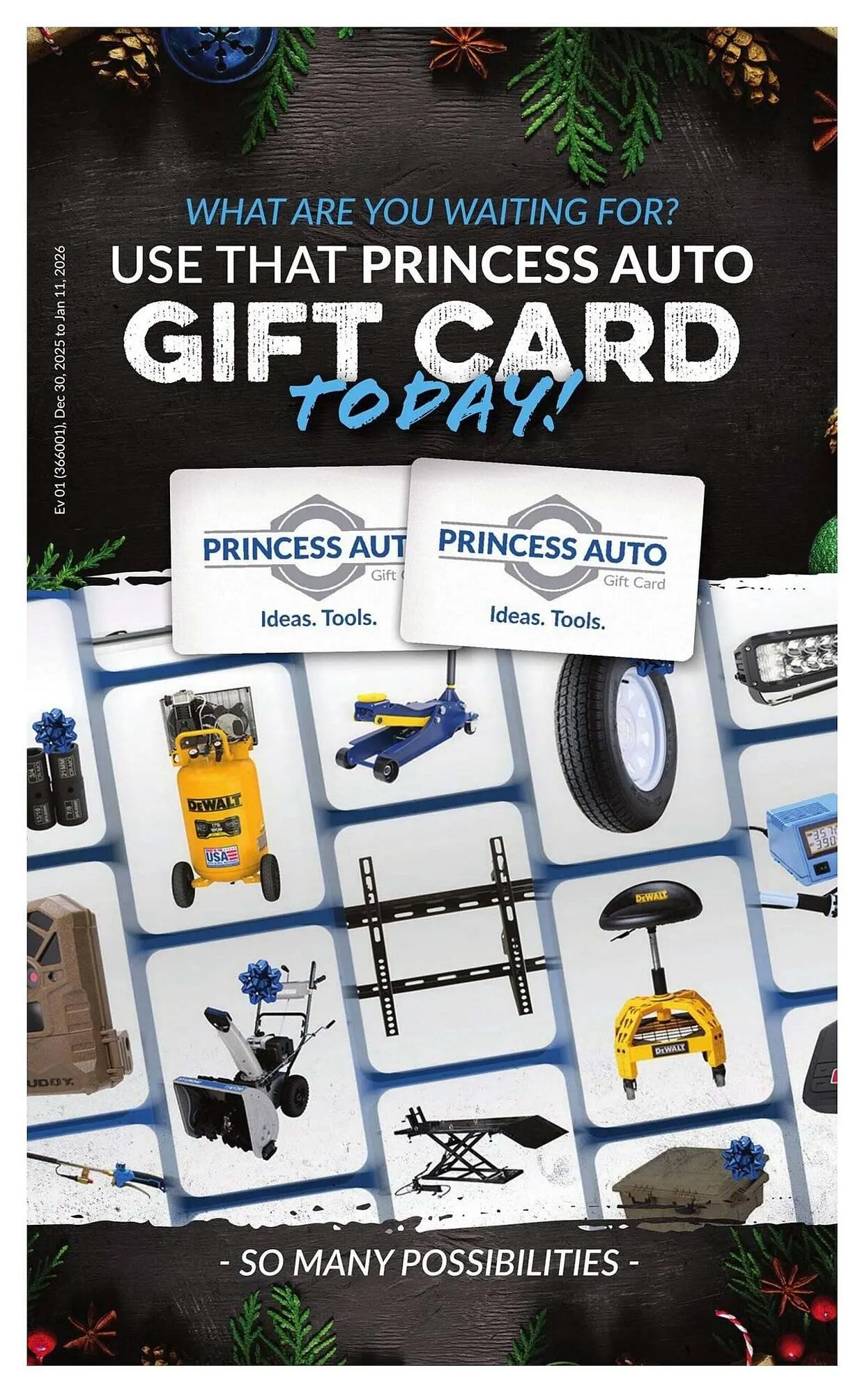 Princess Auto flyer from December 26 to January 2 2026 - flyer page 11