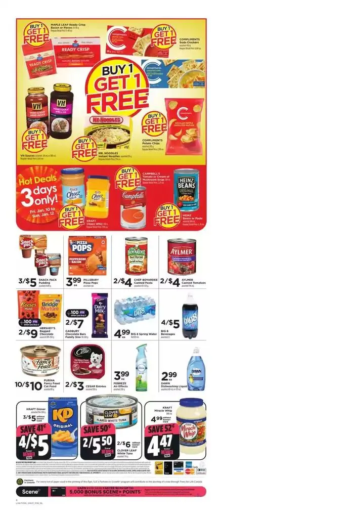 Weekly Ad from January 10 to January 16 2025 - flyer page 6