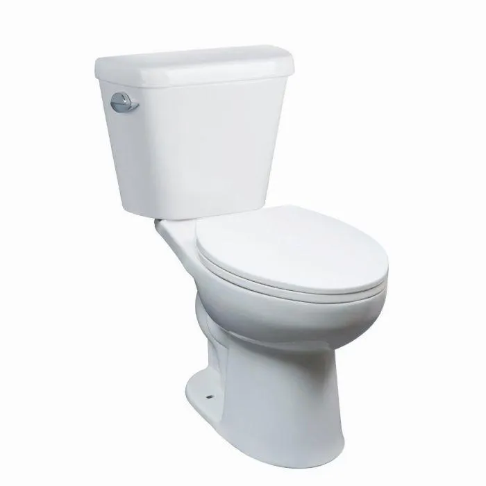 Dolphin Chicago 2-Piece Single Flush Elongated Toilet