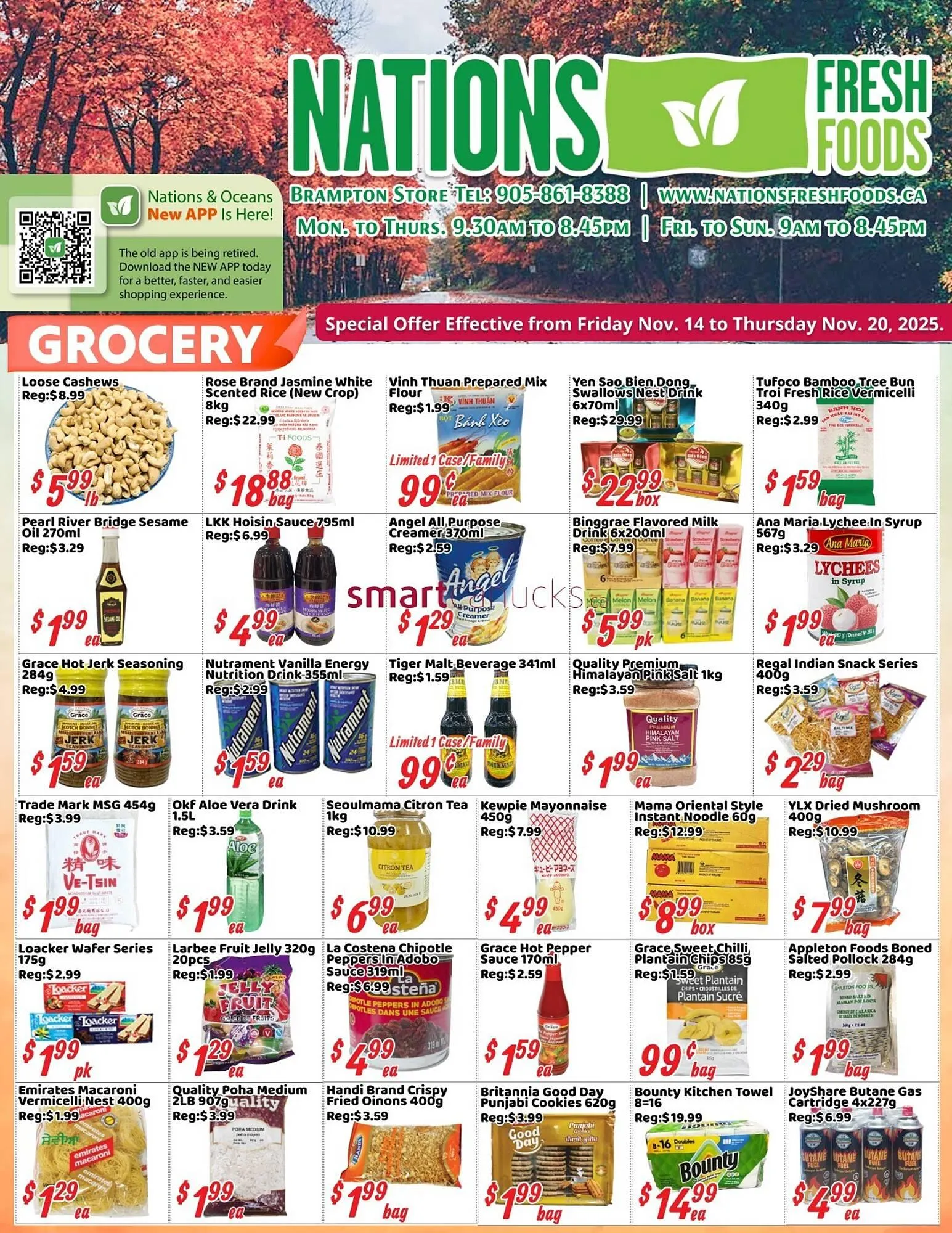 Nations Fresh Foods flyer from November 13 to December 10 2025 - flyer page 1