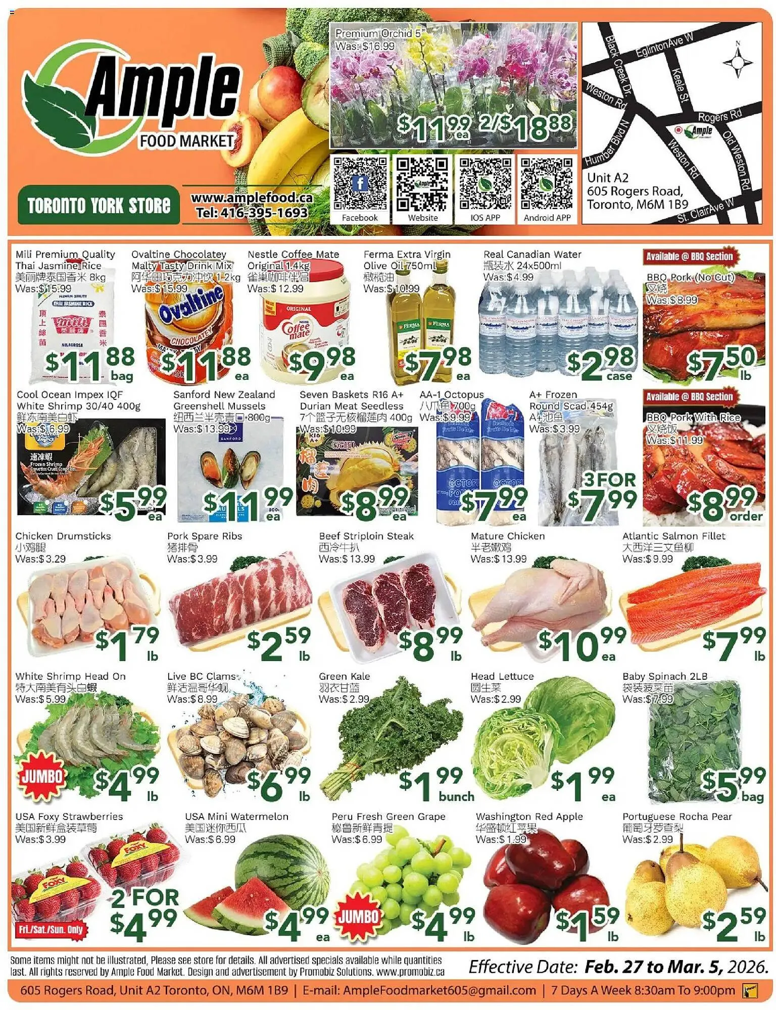 Ample Food Market flyer from February 27 to March 5 2026 - flyer page 1