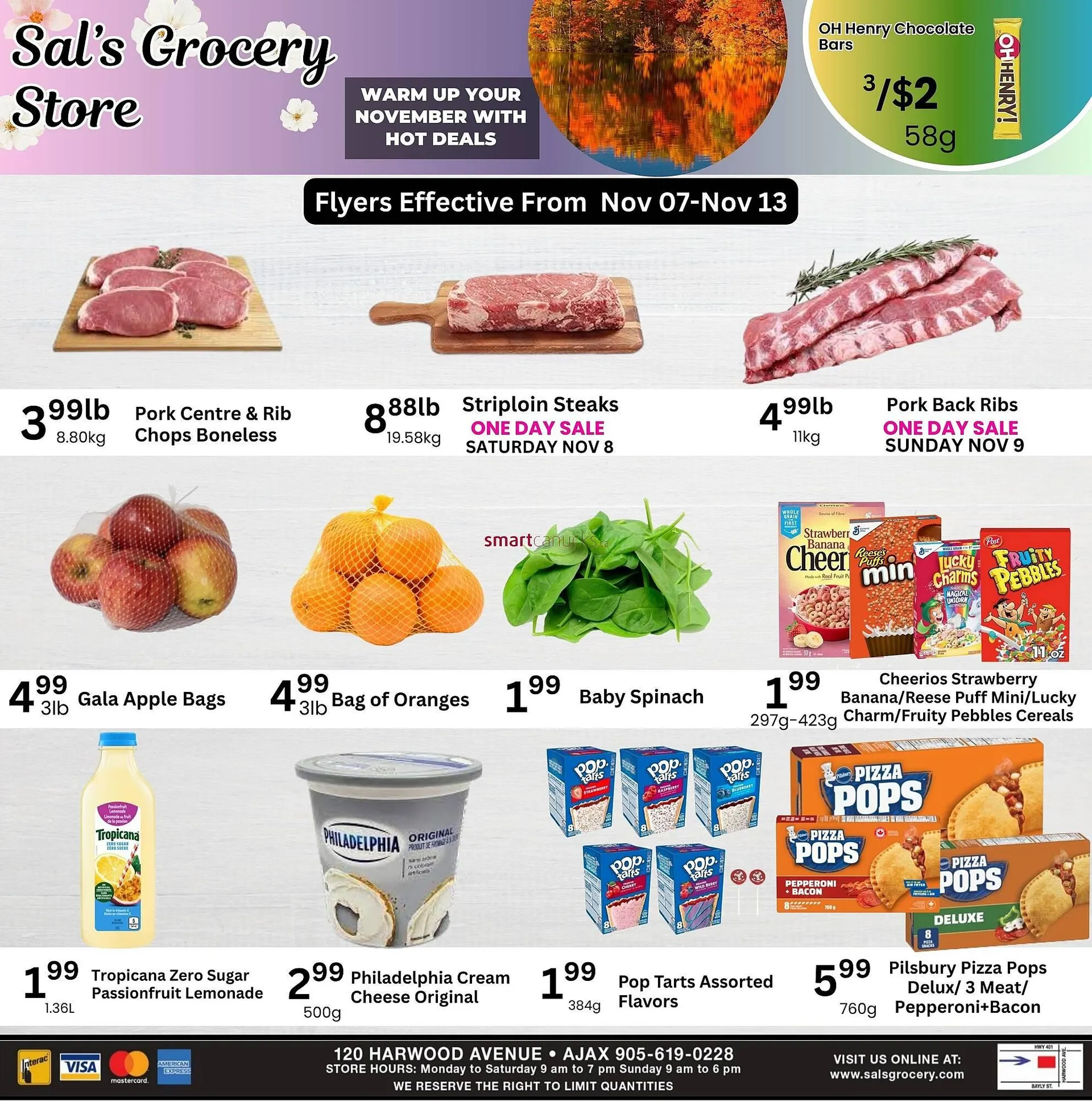 Sal's Grocery flyer from November 7 to November 13 2025 - flyer page 1