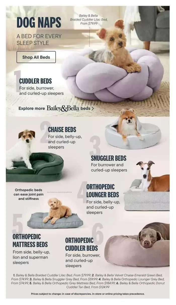 Devoted Dog Parent Guide from March 3 to March 31 2025 - flyer page 16