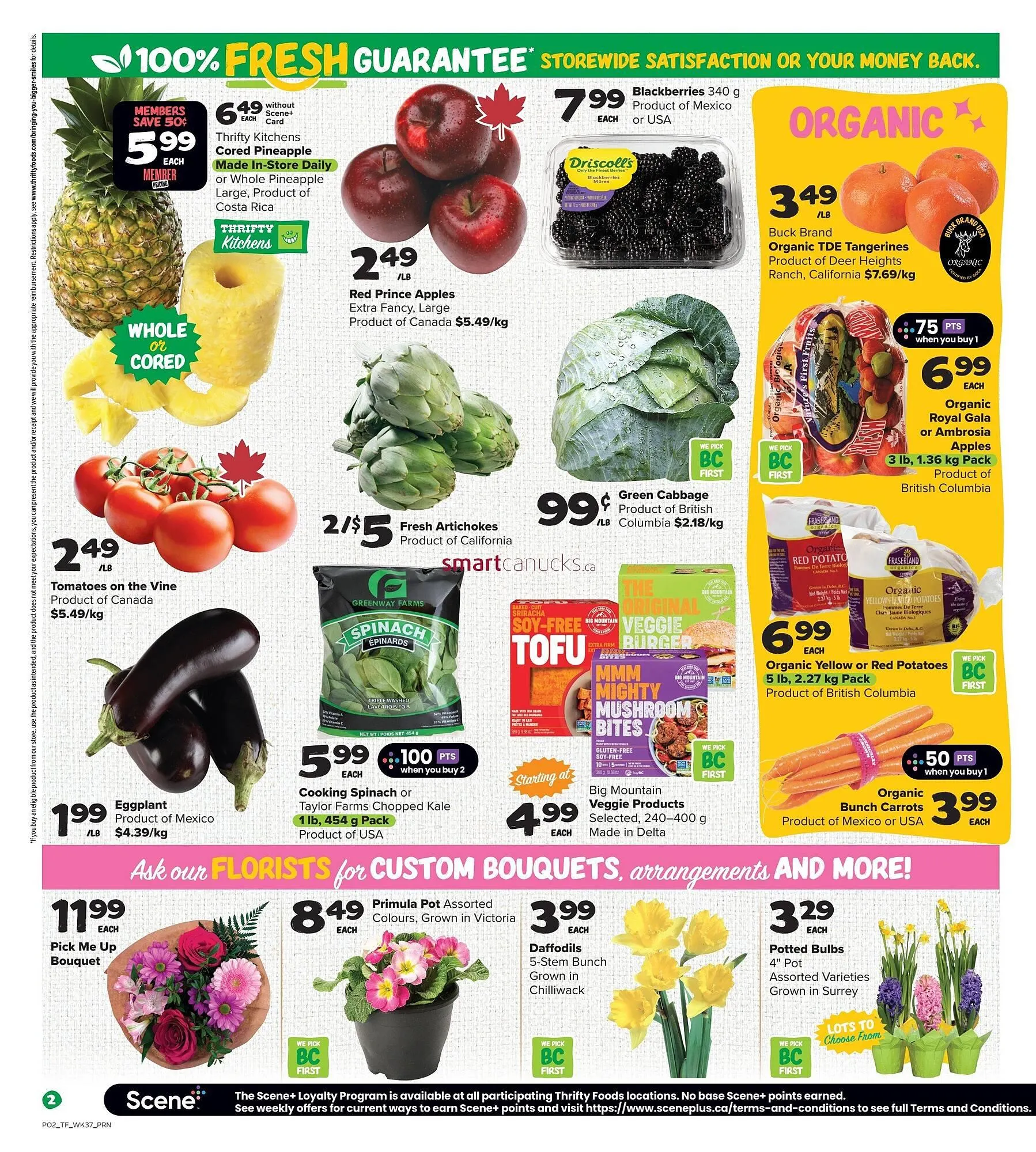 Thrifty Foods flyer from January 8 to January 14 2026 - flyer page 3