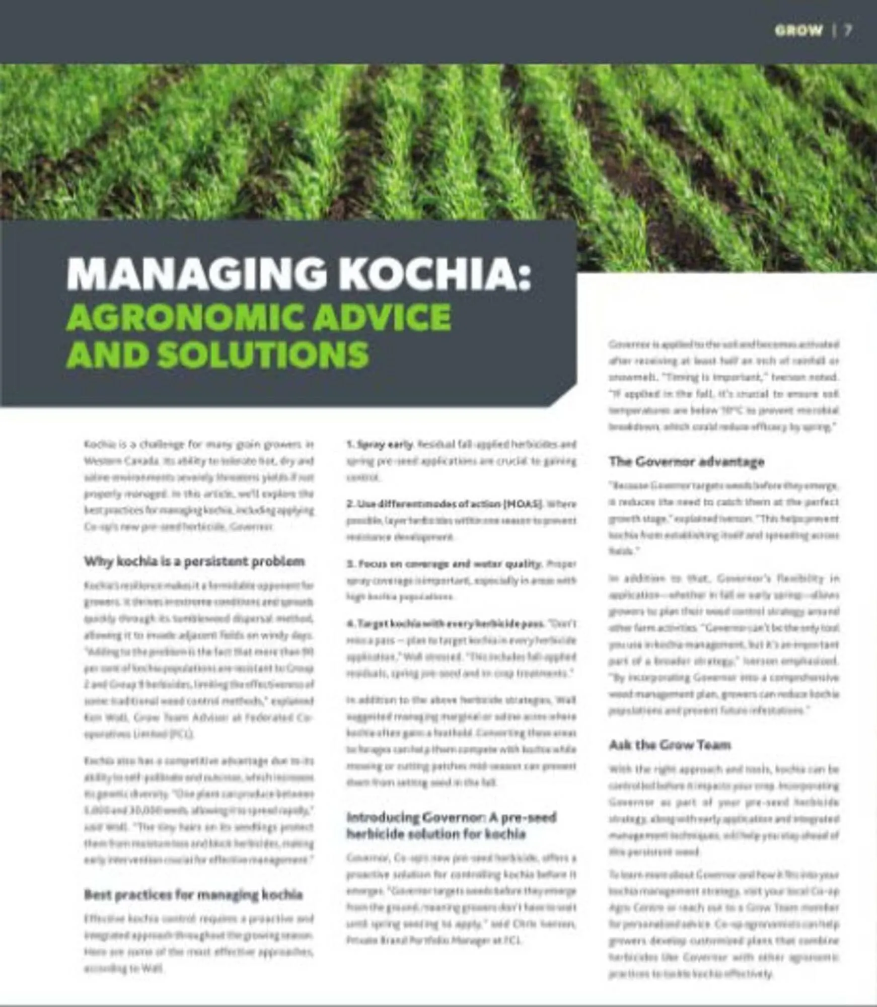 Co-Op Food flyer from July 2 to July 31 2025 - flyer page 8