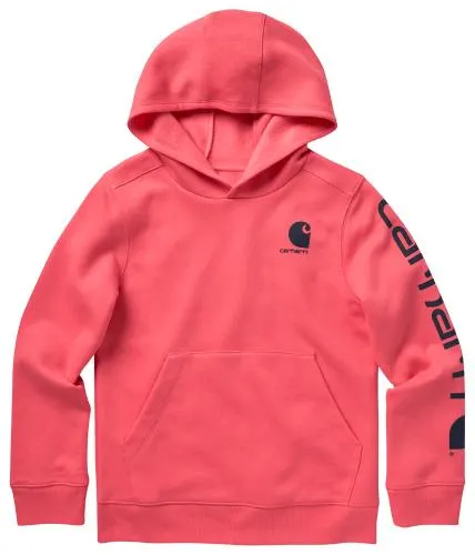 Carhartt Lightweight Graphic Long-Sleeve Hoodie for Kids