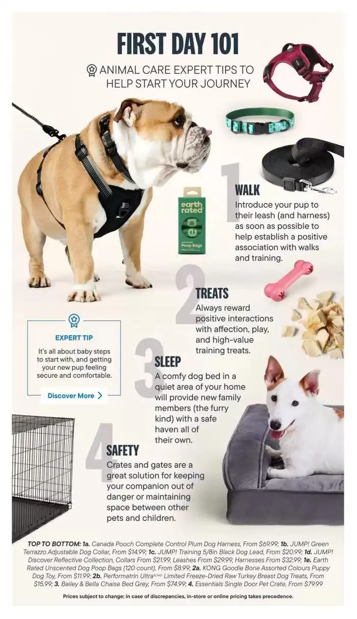 Devoted Dog Parent Guide from March 3 to March 31 2025 - flyer page 6