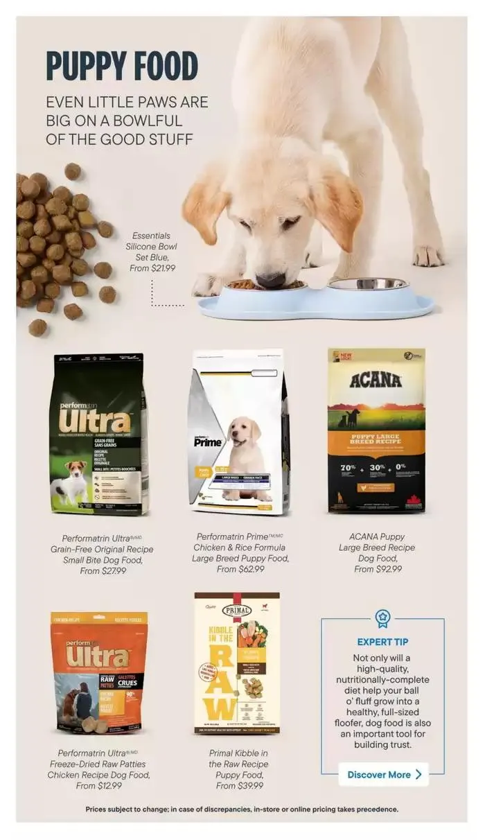 Devoted Dog Parent Guide from March 3 to March 31 2025 - flyer page 7