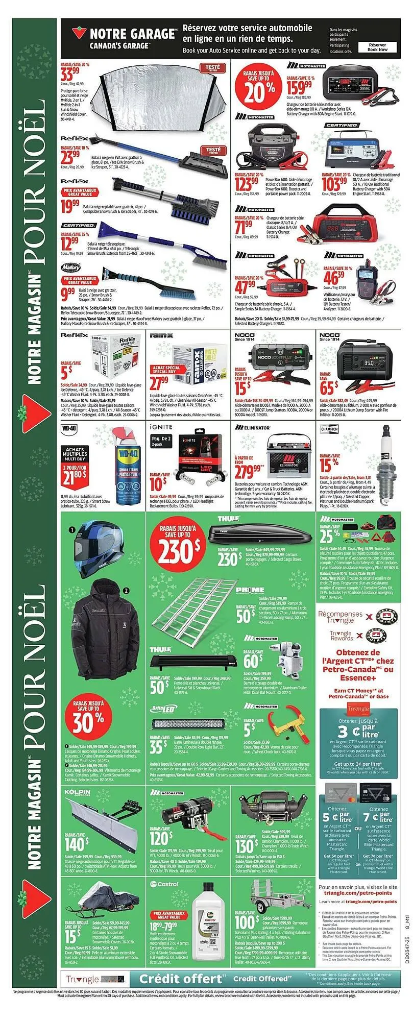 Canadian Tire flyer from November 13 to November 21 2025 - flyer page 29