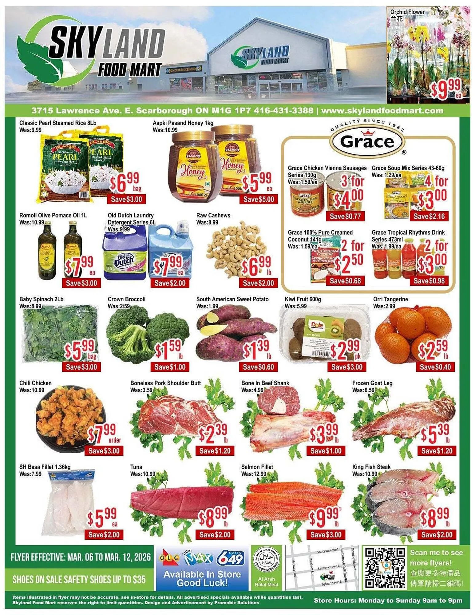 Skyland Foodmart flyer from March 6 to March 13 2026 - flyer page 1
