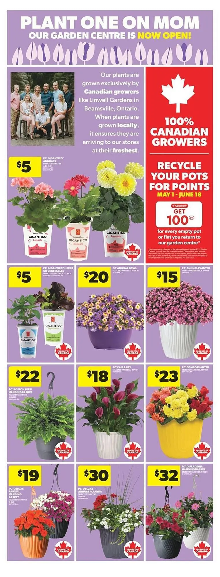 Real Canadian Superstore flyer from May 8 to May 15 2025 - flyer page 17