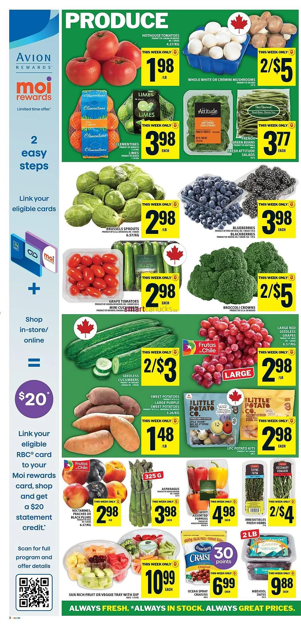 Food Basics flyer from April 10 to April 16 2025 - flyer page 10