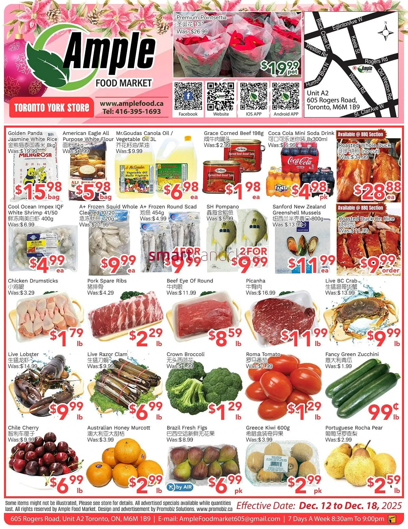 Ample Food Market flyer from December 12 to December 18 2025 - flyer page 1