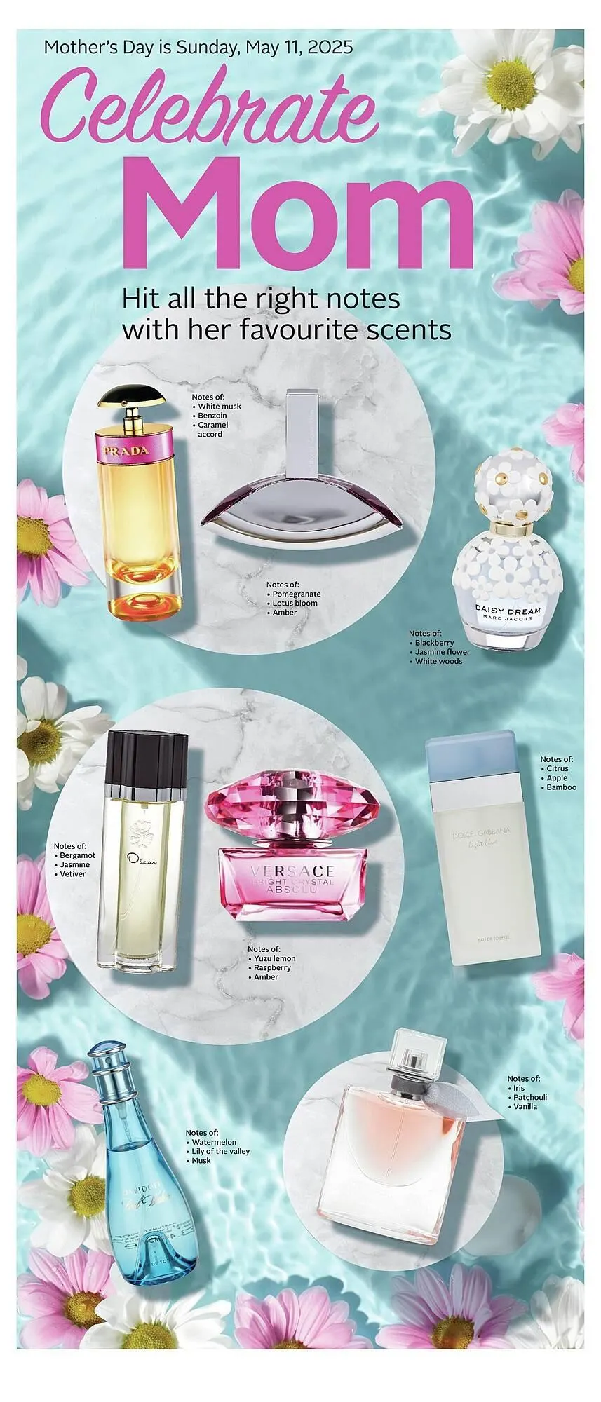 Rexall flyer from May 1 to May 8 2025 - flyer page 20