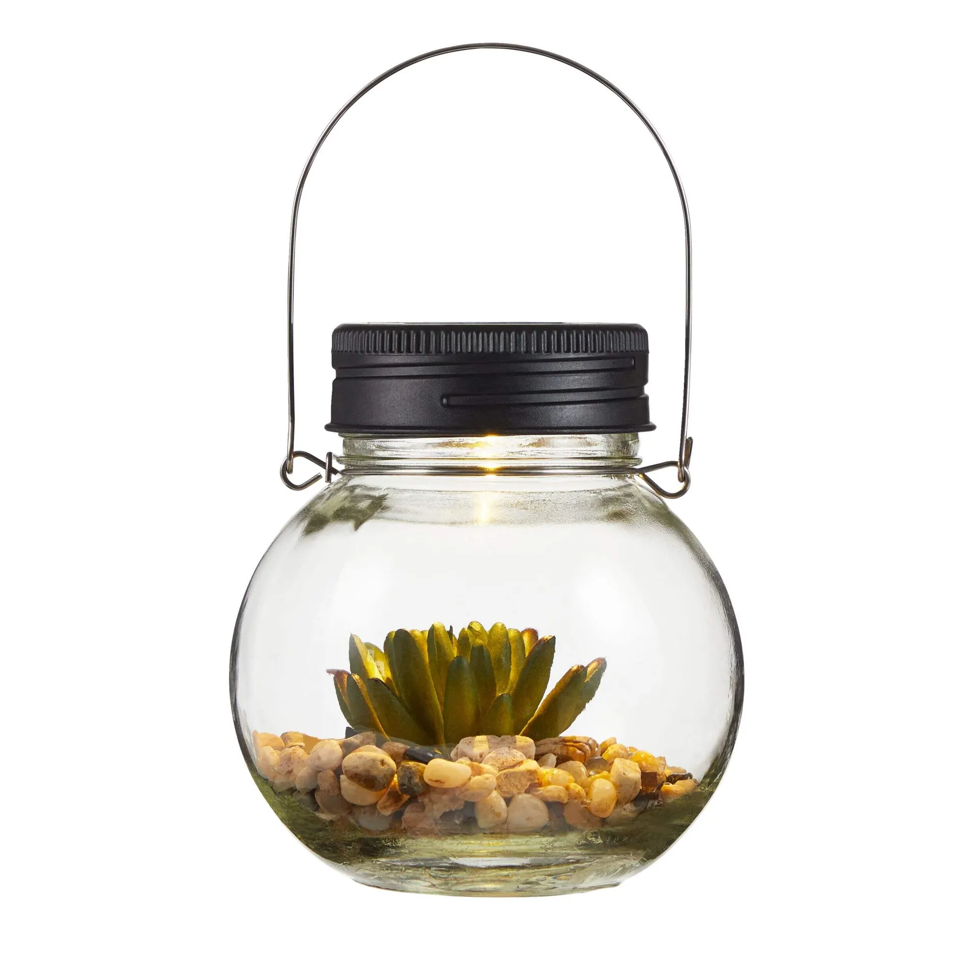 For Living Glass Light with Succulent, 5.12-in