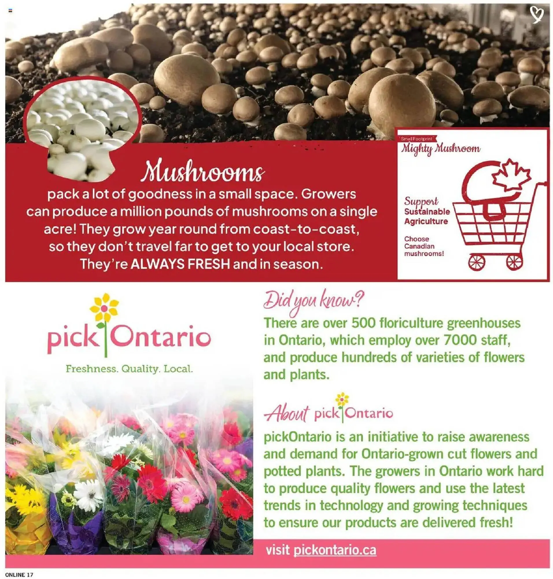 Fortinos flyer from July 31 to August 7 2025 - flyer page 17