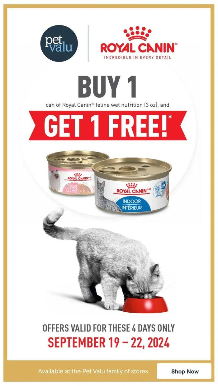 Anniversary Sale from September 23 to October 2 2024 - flyer page 6