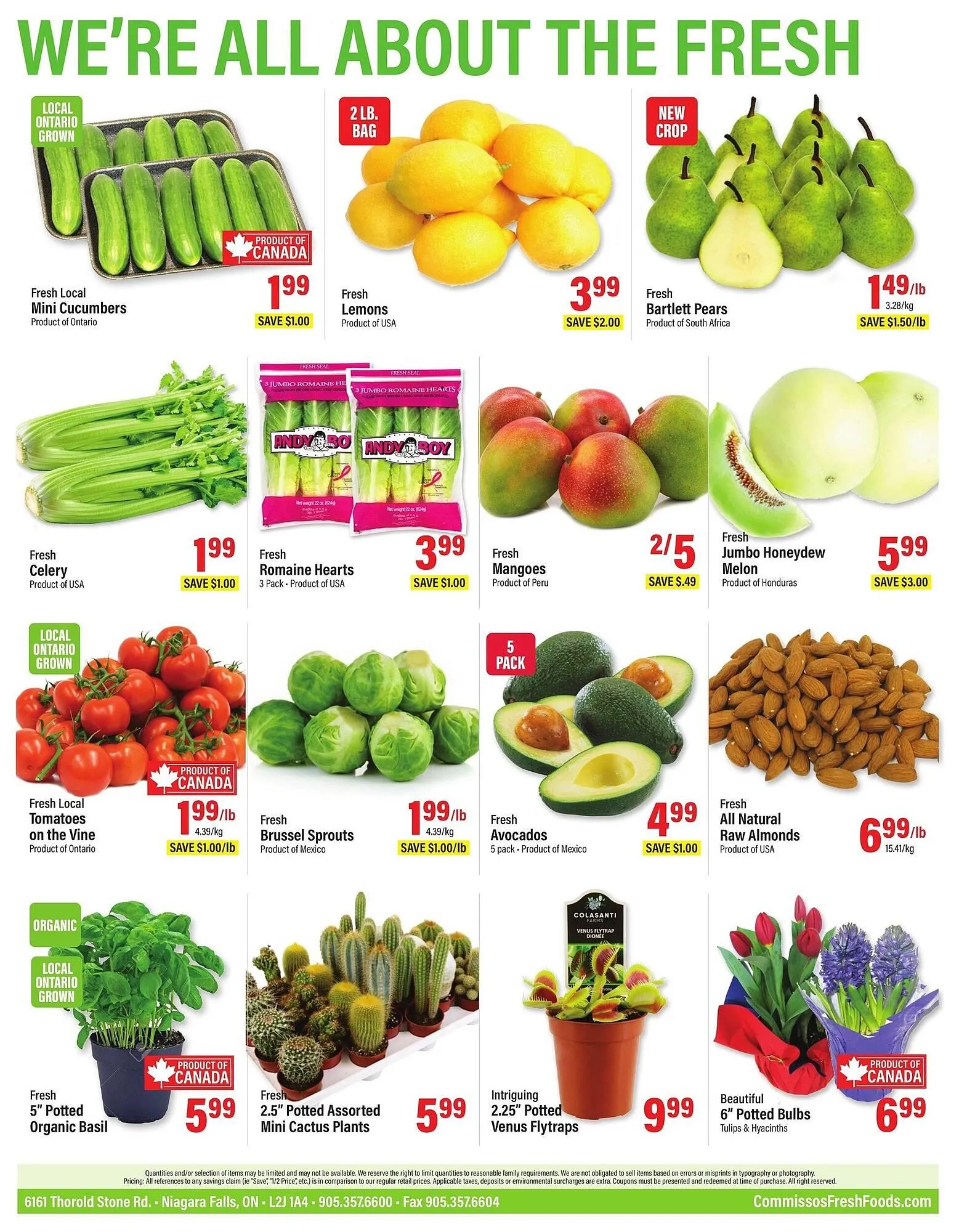 Commisso's Fresh Foods flyer from April 4 to April 17 2025 - flyer page 10