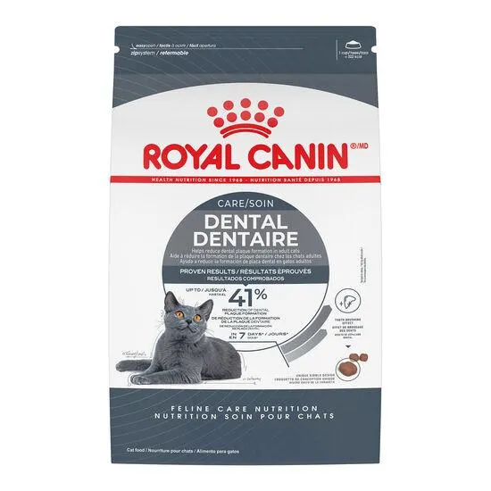 Nourriture sèche formule Nutrition soin dentaire pour chats