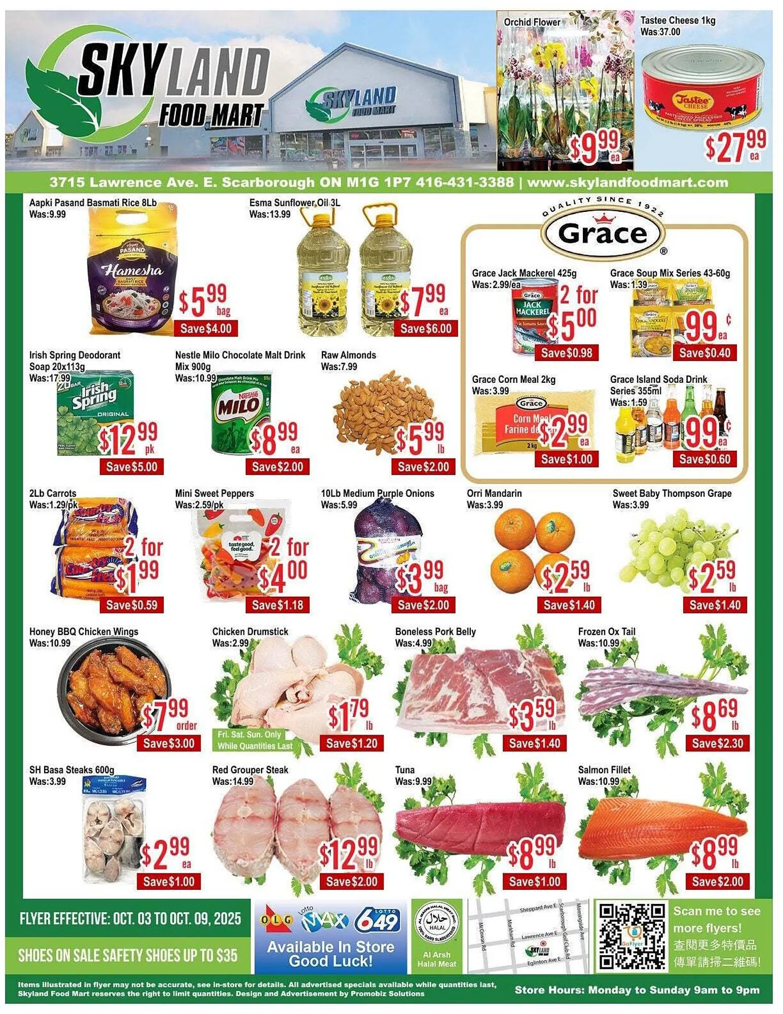 Skyland Foodmart flyer from October 3 to October 10 2025 - flyer page 1