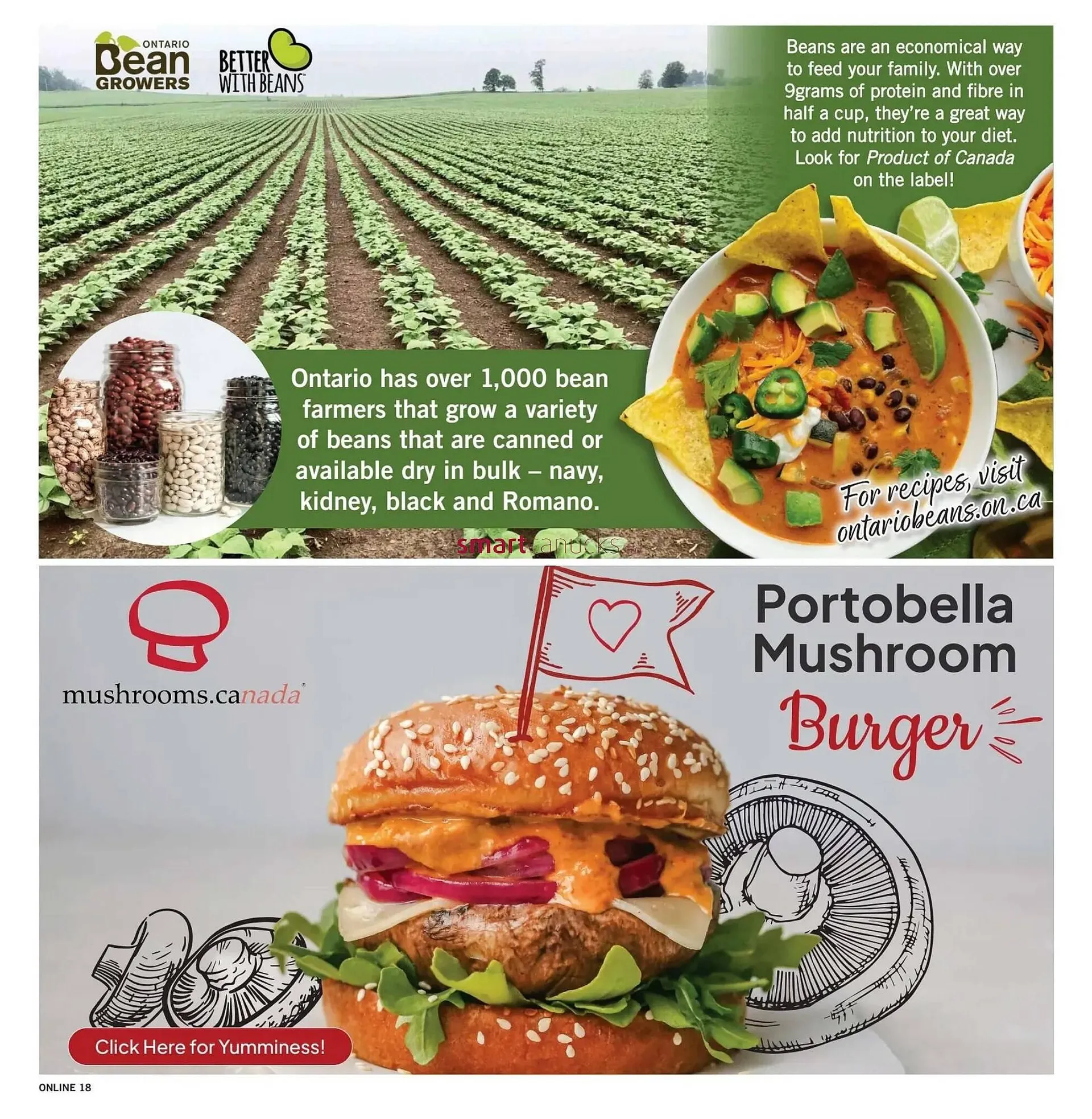 Fortinos flyer from August 7 to August 13 2025 - flyer page 18