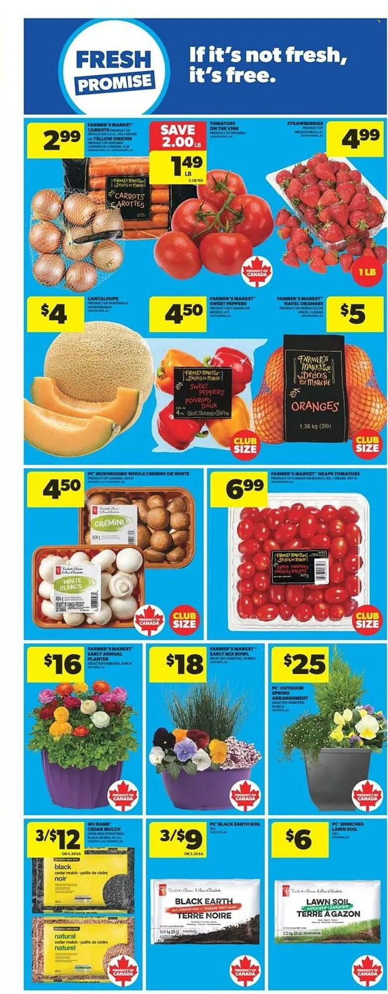 Real Canadian Superstore flyer from April 17 to April 23 2025 - flyer page 13
