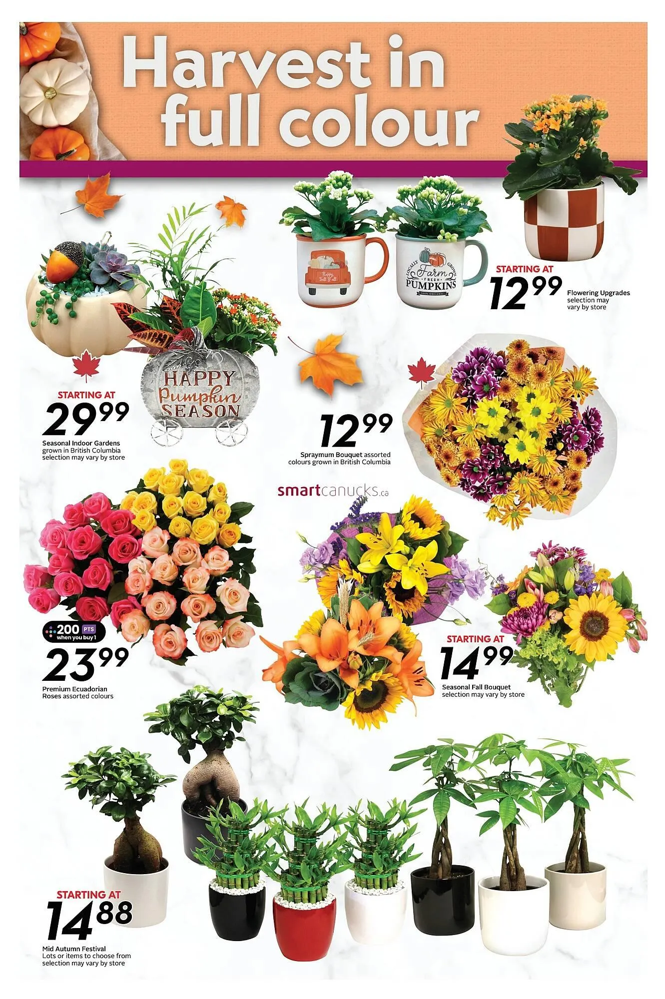 Safeway flyer from October 3 to October 9 2025 - flyer page 19
