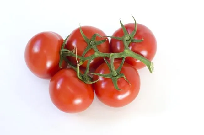 Cocktail/Campari Tomatoes on the Vine