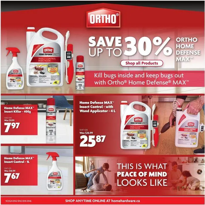 Current special promotions from August 29 to September 11 2024 - flyer page 5