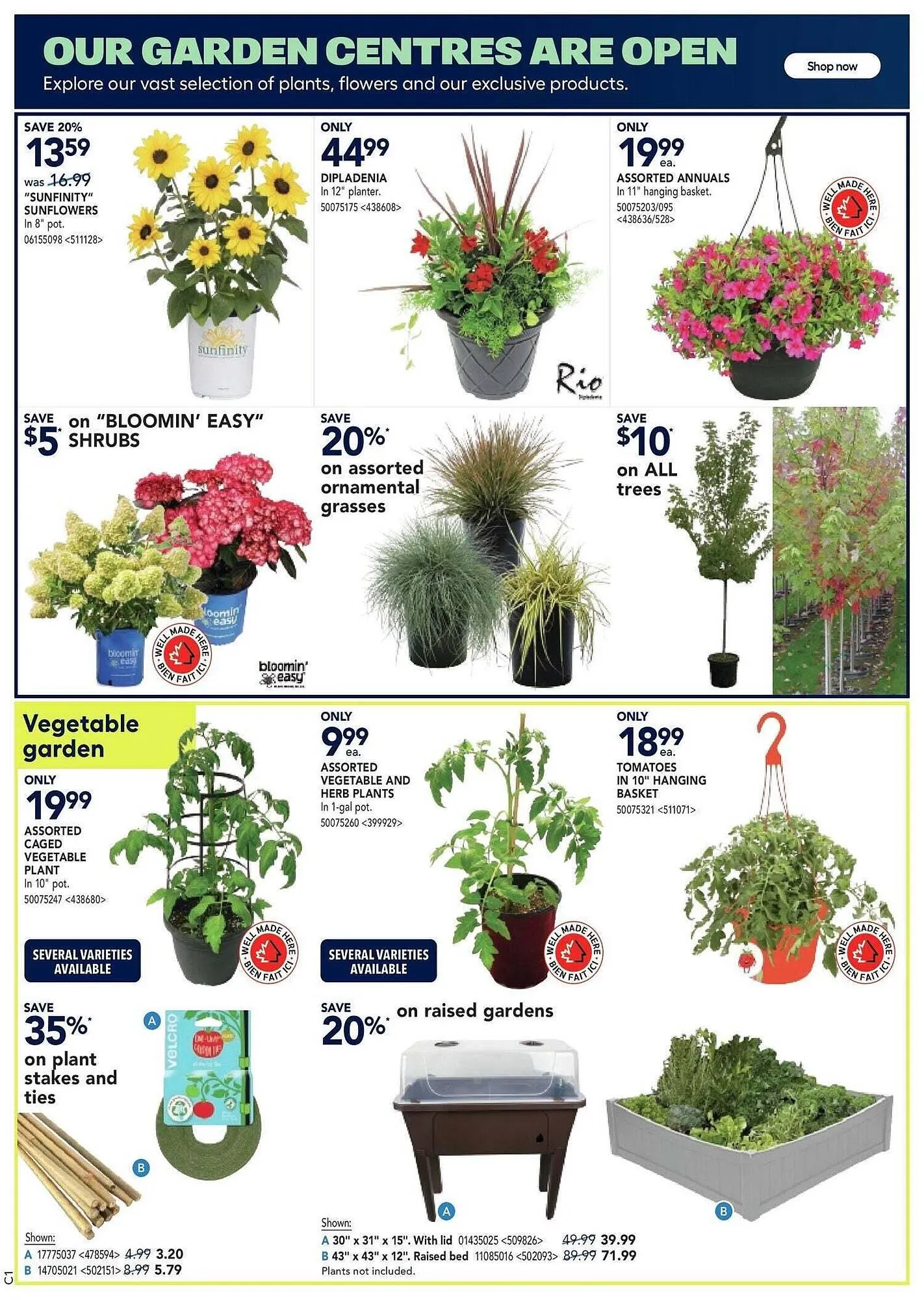 RONA flyer from May 23 to May 30 2025 - flyer page 6