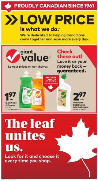 Giant Tiger Flyer from March 11 to March 17 2026 - flyer page 5