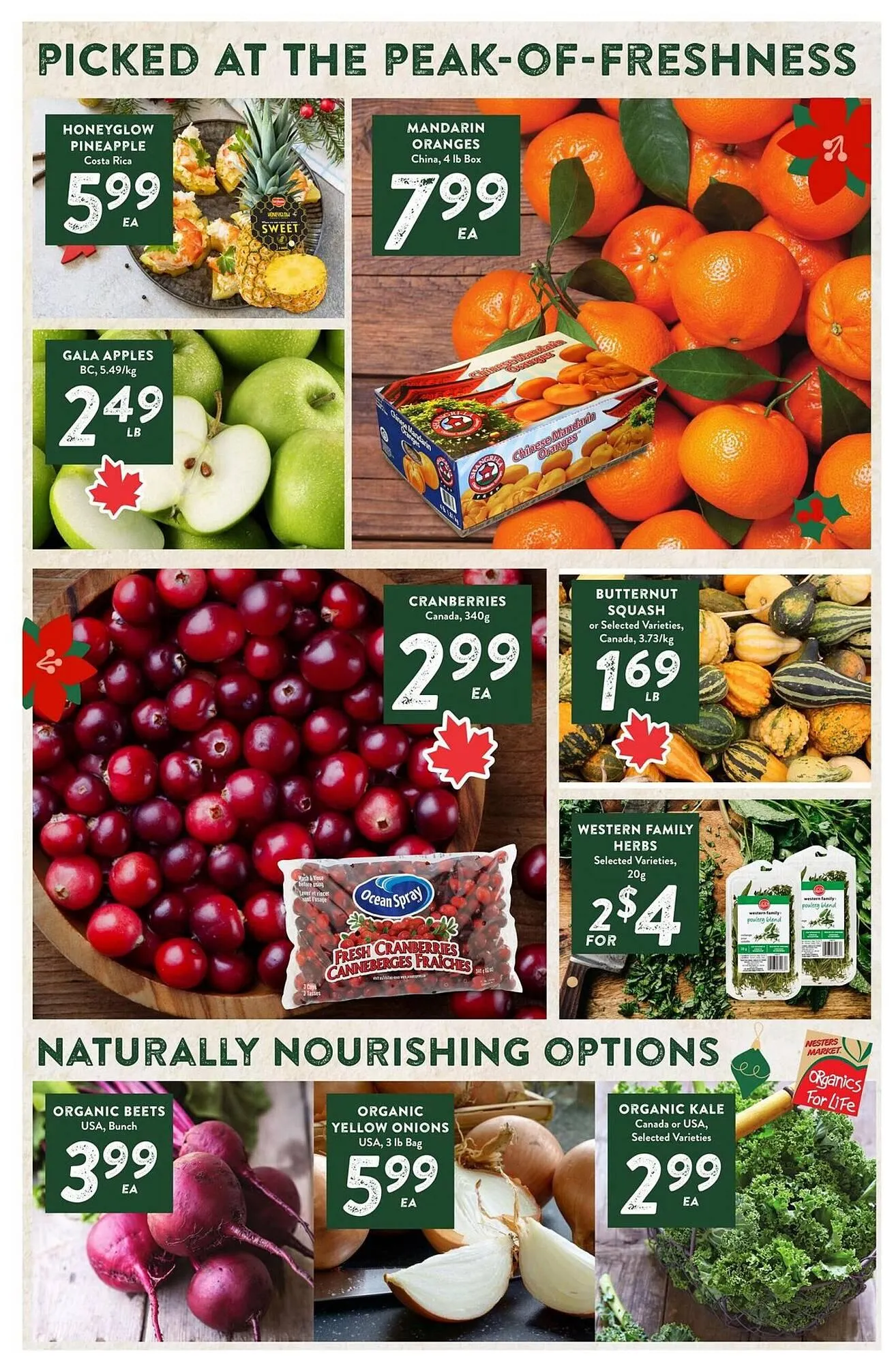 Nesters Market flyer from December 18 to December 26 2025 - flyer page 3