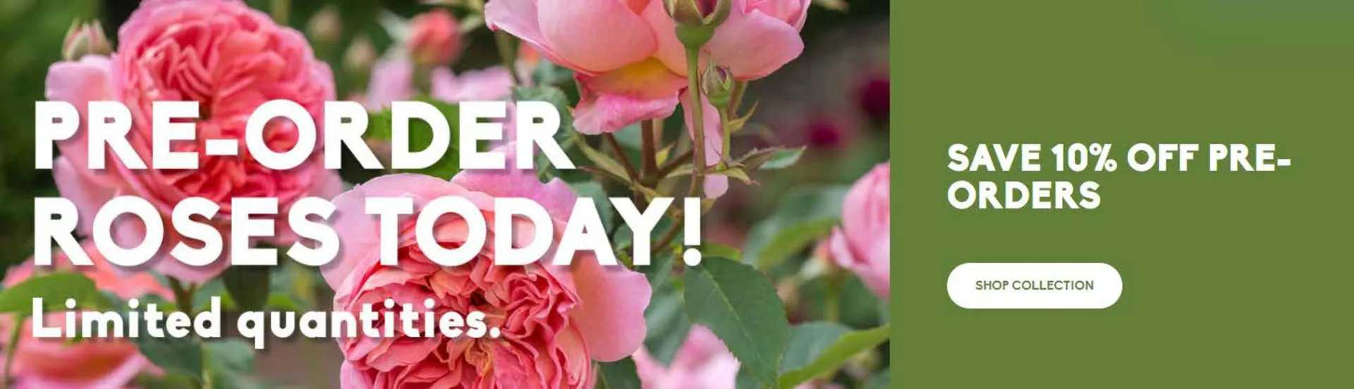 Sheridan Nurseries flyer - 1