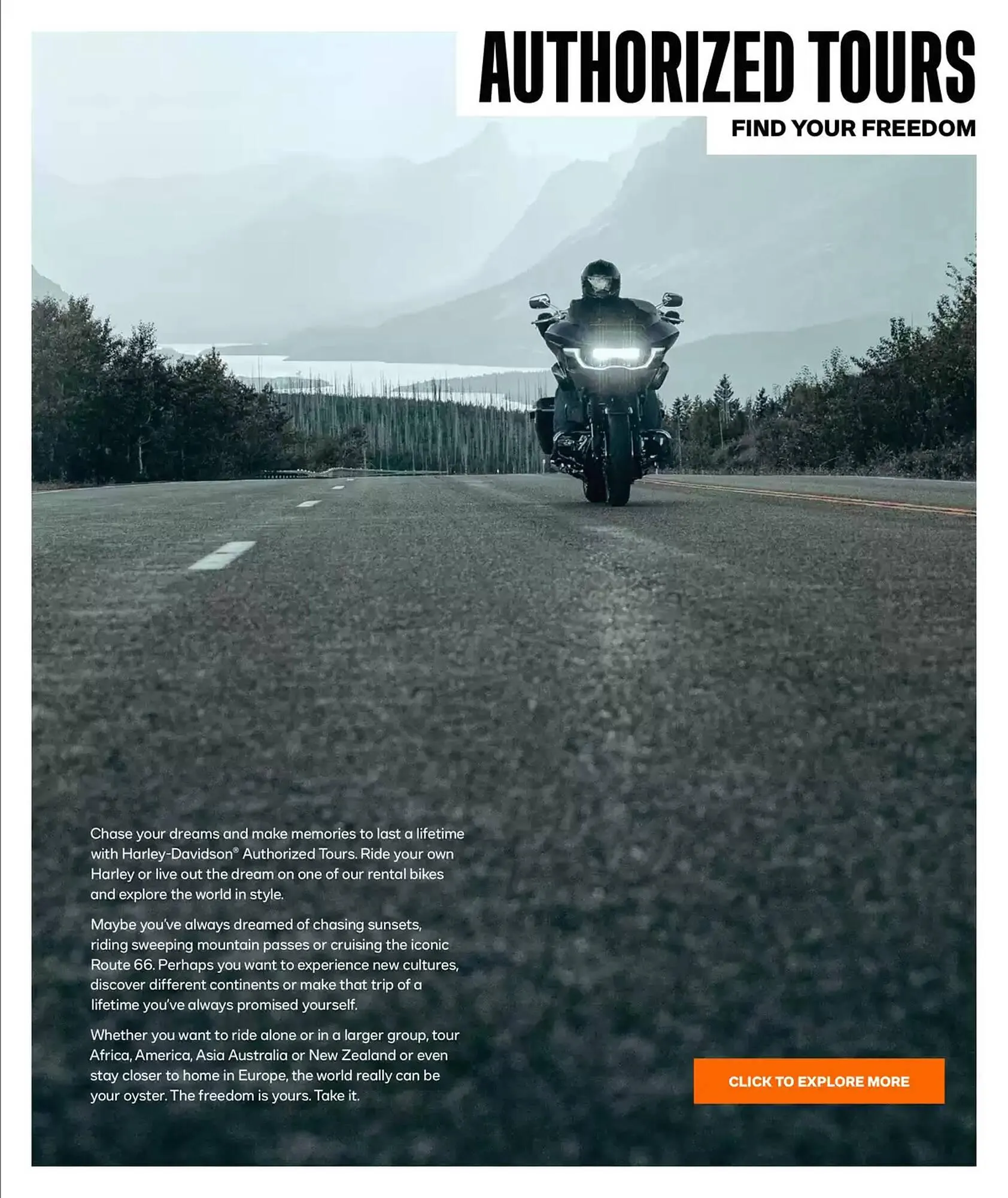 Harley Davidson flyer from February 6 to February 6 2026 - flyer page 53