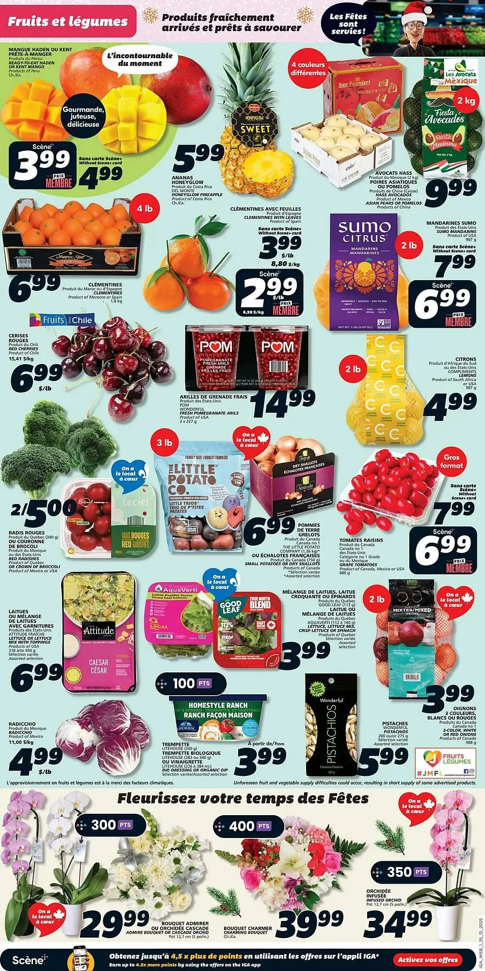 IGA flyer from December 25 to December 31 2025 - flyer page 3