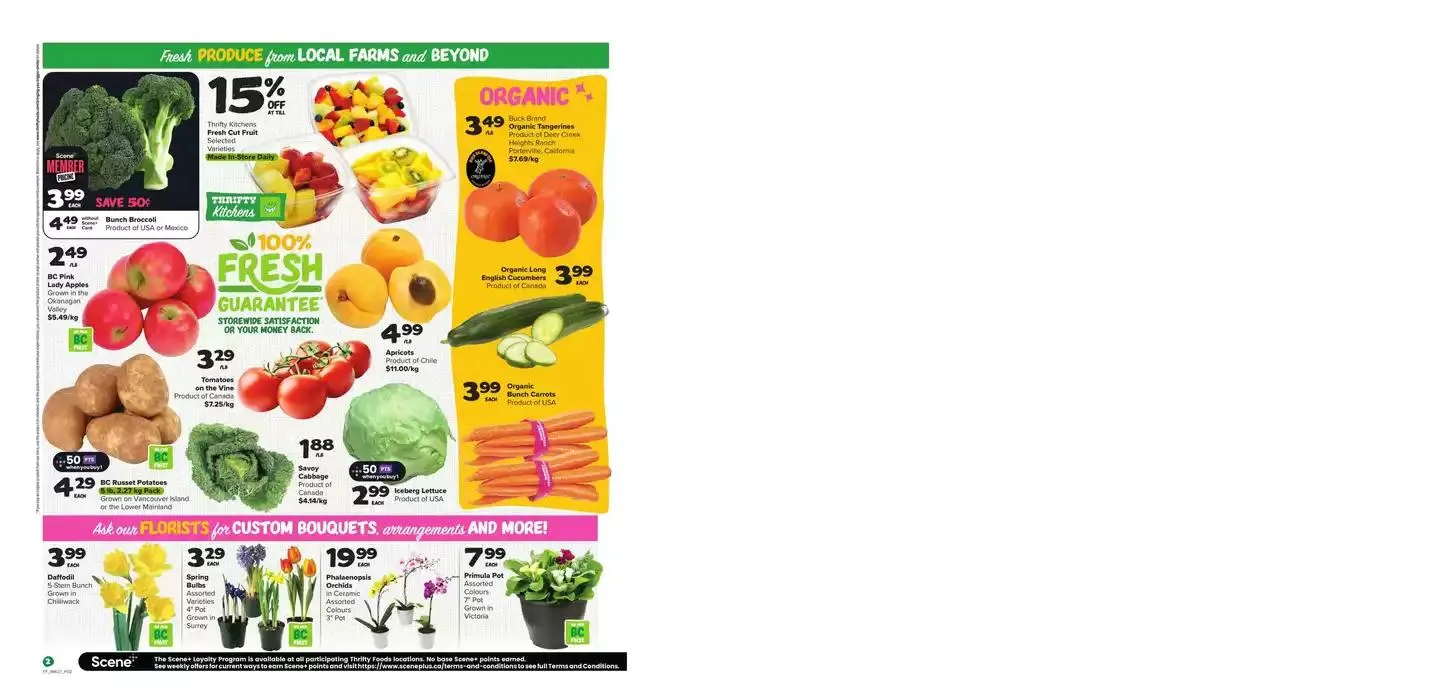 Offers for bargain hunters from January 9 to January 15 2025 - flyer page 4