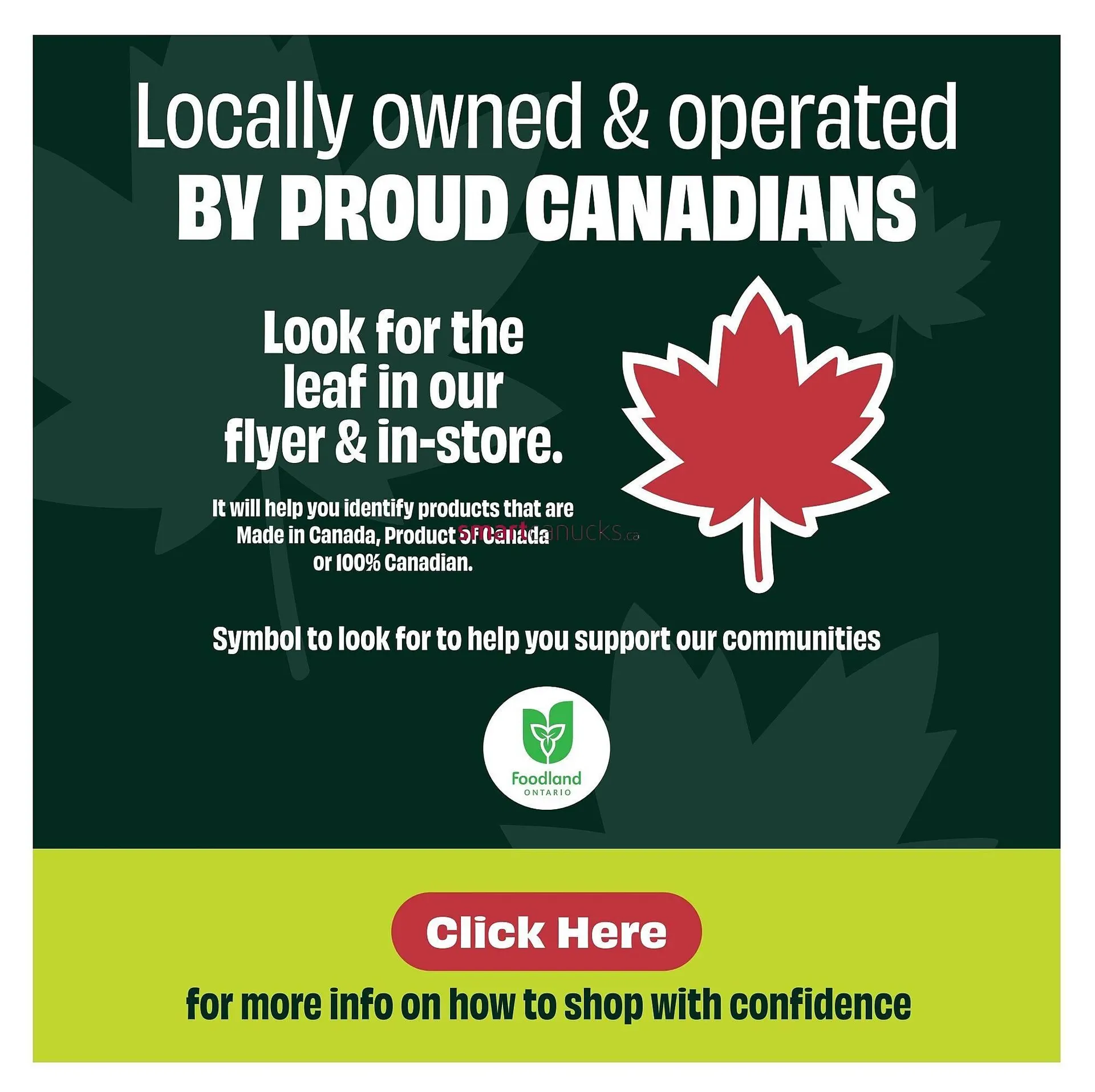 FreshCo flyer from July 24 to July 30 2025 - flyer page 10