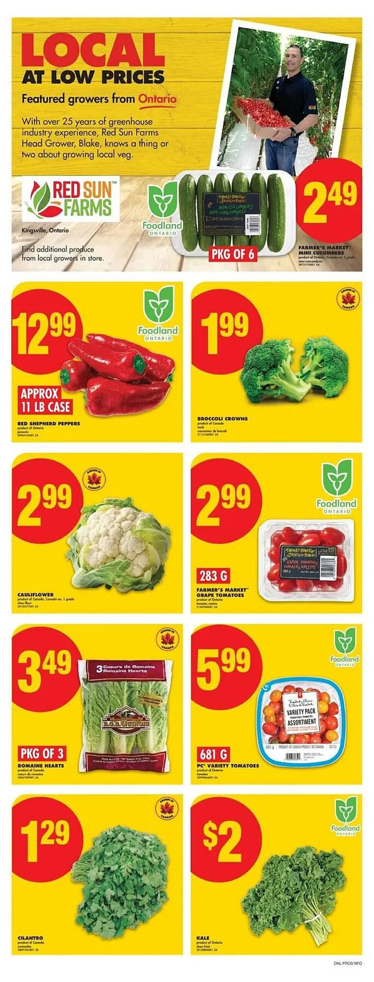 No Frills flyer from September 11 to September 18 2025 - flyer page 4